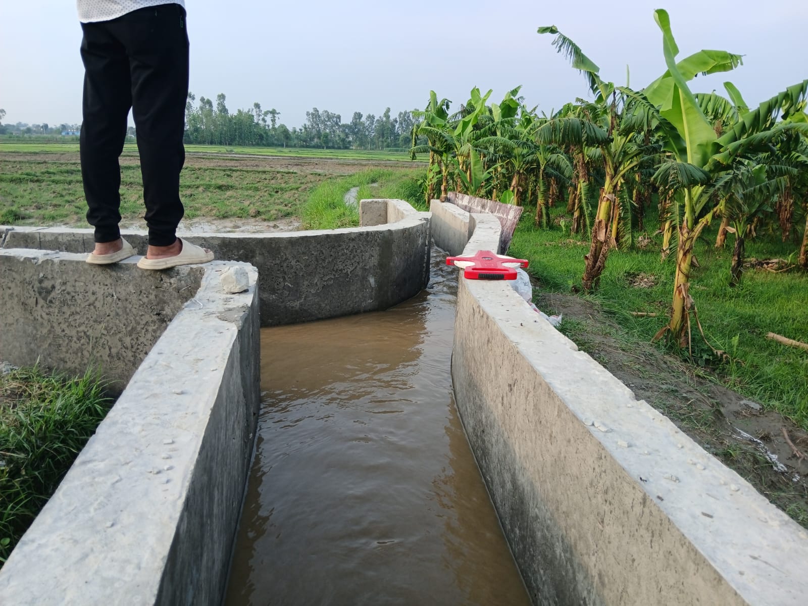 ⁠command area development works of tertiary canals and water course ( CAD- 2) in Rani irrigation system . World bank funded project.